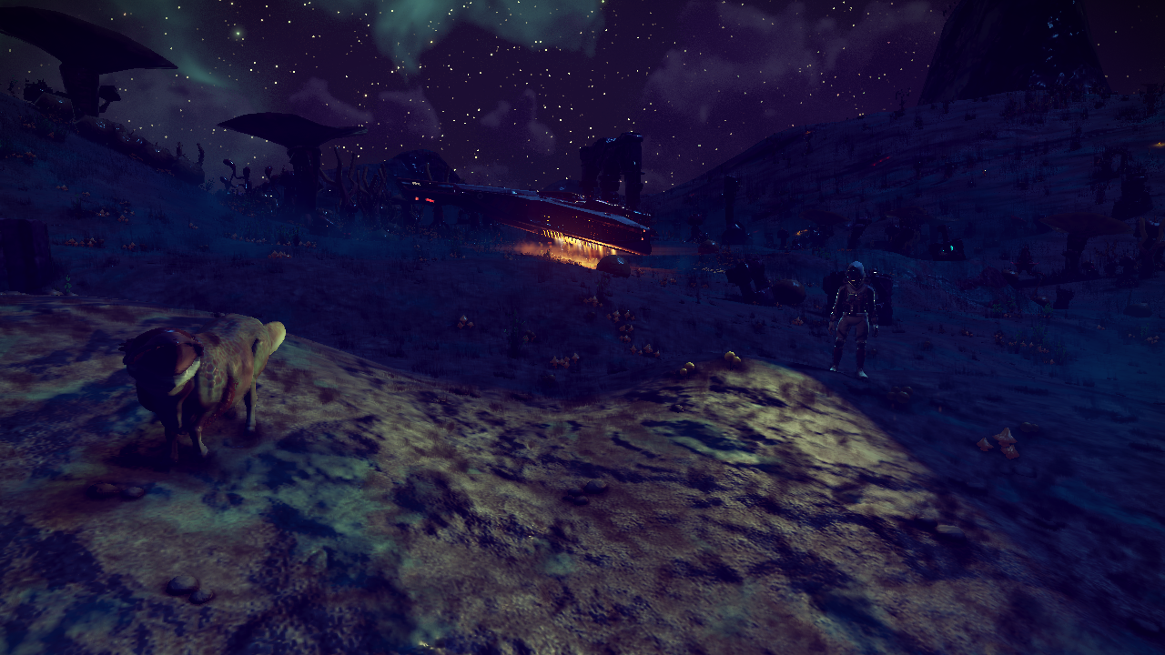 [No Man's Sky] Just ignore me. I just want a picture.